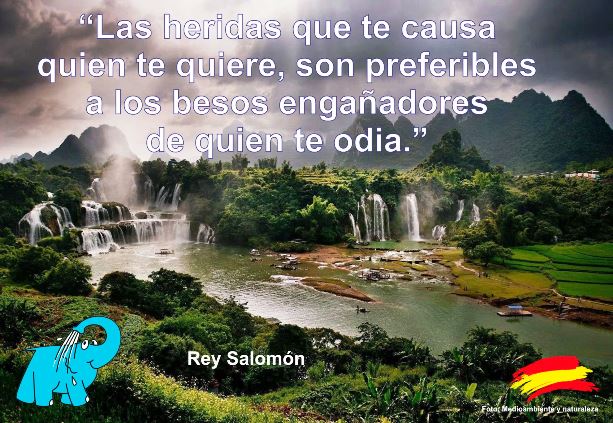 Las heridas que te causa quien te quiere, son preferibles a los besos engañadores de quien te odia.